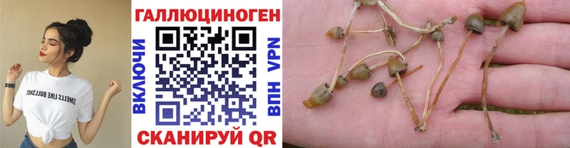 Псилоцибиновые грибы GOLDEN TEACHER купить Фролово